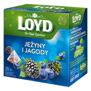 Loyd Tea Jeżyna Jagoda Ex20 herbata ekspresowa owocowa