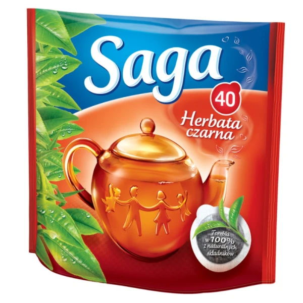saga ex40.jpg