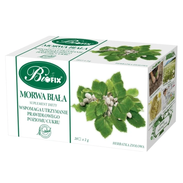 morwa-biala-bifix-herbatka.jpg