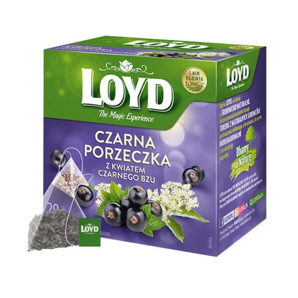 czarna porzeczka czarny bez.jpg