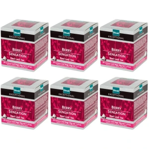 Zestaw 6x Dilmah Exceptional Berry Sensation 20x2g